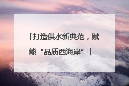 打造供水新典范，赋能“品质西海岸”