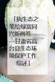 执生态之笔绘绿富同兴新画卷——甘肃省高台县生态环境保护工作综述