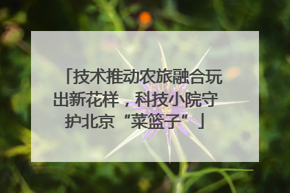 技术推动农旅融合玩出新花样，科技小院守护北京“菜篮子”