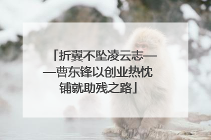 折翼不坠凌云志——曹东锋以创业热忱铺就助残之路