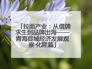 拉面产业：从借牌求生到品牌出海——青海县域经济发展观察·化隆篇