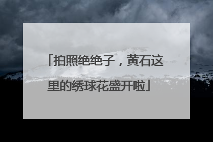 拍照绝绝子，黄石这里的绣球花盛开啦