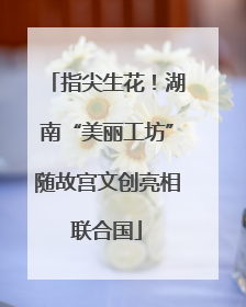 指尖生花！湖南“美丽工坊”随故宫文创亮相联合国