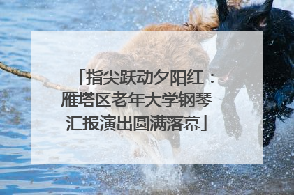 指尖跃动夕阳红：雁塔区老年大学钢琴汇报演出圆满落幕
