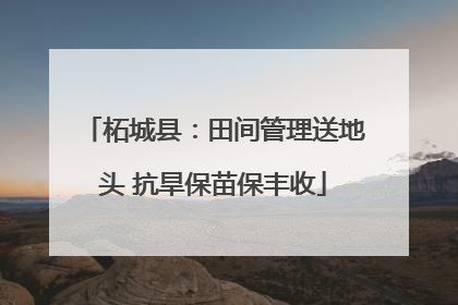 柘城县：田间管理送地头 抗旱保苗保丰收