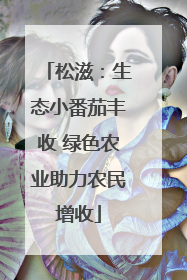 松滋：生态小番茄丰收 绿色农业助力农民增收