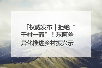 权威发布｜拒绝“千村一面”！东阿差异化推进乡村振兴示范片区建设