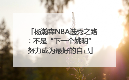 杨瀚森NBA选秀之路：不是“下一个姚明” 努力成为最好的自己