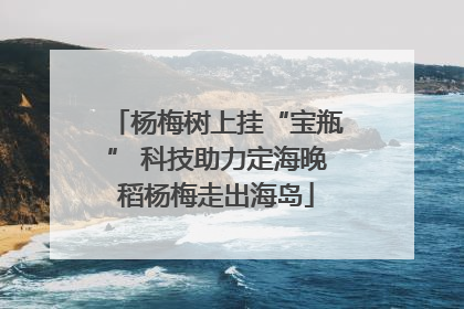 杨梅树上挂“宝瓶” 科技助力定海晚稻杨梅走出海岛