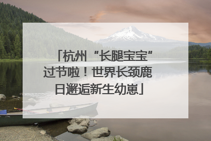杭州“长腿宝宝”过节啦！世界长颈鹿日邂逅新生幼崽