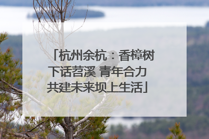 杭州余杭：香樟树下话苕溪 青年合力共建未来坝上生活