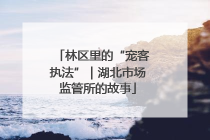 林区里的“宠客执法”｜湖北市场监管所的故事