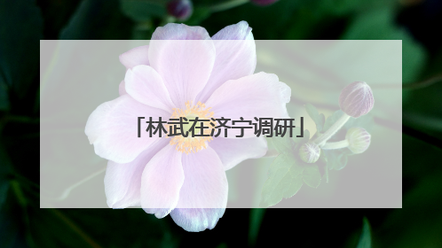 林武在济宁调研