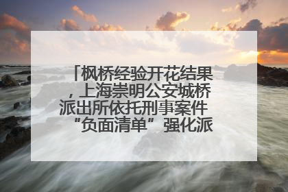 枫桥经验开花结果，上海崇明公安城桥派出所依托刑事案件“负面清单”强化派出所“主防”