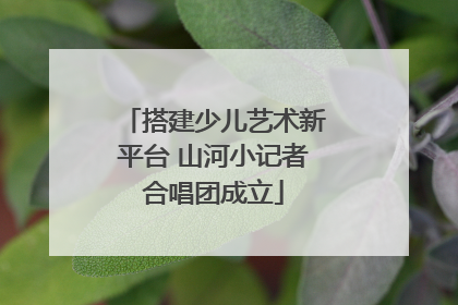 搭建少儿艺术新平台 山河小记者合唱团成立