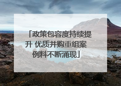 政策包容度持续提升 优质并购重组案例料不断涌现