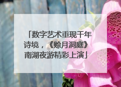 数字艺术重现千年诗境，《赊月洞庭》南湖夜游精彩上演