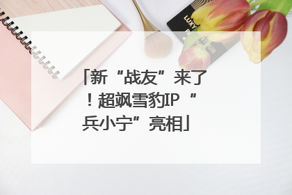 新“战友”来了！超飒雪豹IP“兵小宁”亮相