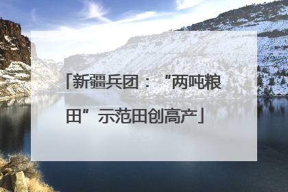 新疆兵团：“两吨粮田”示范田创高产