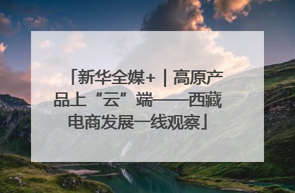 新华全媒+｜高原产品上“云”端——西藏电商发展一线观察
