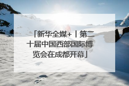 新华全媒+丨第二十届中国西部国际博览会在成都开幕