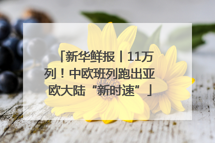新华鲜报丨11万列！中欧班列跑出亚欧大陆“新时速”