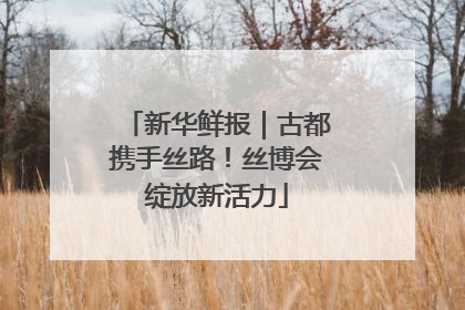 新华鲜报｜古都携手丝路！丝博会绽放新活力