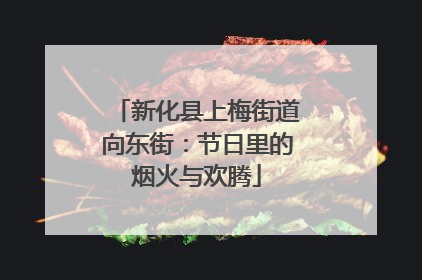 新化县上梅街道向东街：节日里的烟火与欢腾