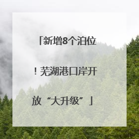 新增8个泊位！芜湖港口岸开放“大升级”