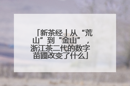 新茶经丨从“荒山”到“金山”，浙江茶二代的数字苗圃改变了什么