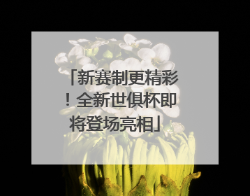 新赛制更精彩！全新世俱杯即将登场亮相