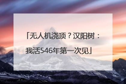 无人机浇顶？汉阳树：我活546年第一次见