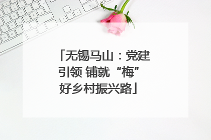 无锡马山：党建引领 铺就“梅”好乡村振兴路