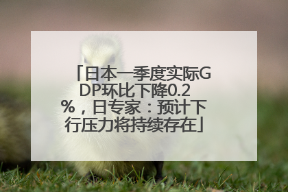 日本一季度实际GDP环比下降0.2%，日专家：预计下行压力将持续存在