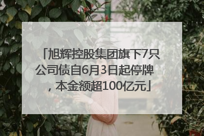 旭辉控股集团旗下7只公司债自6月3日起停牌，本金额超100亿元