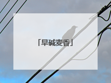 旱碱麦香