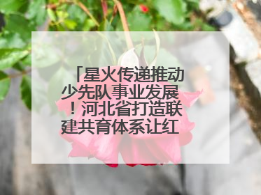 星火传递推动少先队事业发展！河北省打造联建共育体系让红领巾更鲜艳
