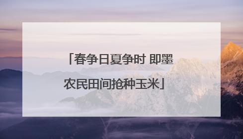 春争日夏争时 即墨农民田间抢种玉米