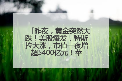 昨夜，黄金突然大跌！美股爆发，特斯拉大涨，市值一夜增超5400亿元！苹果传来大消息