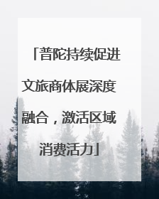 普陀持续促进文旅商体展深度融合，激活区域消费活力