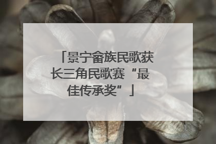 景宁畲族民歌获长三角民歌赛“最佳传承奖”