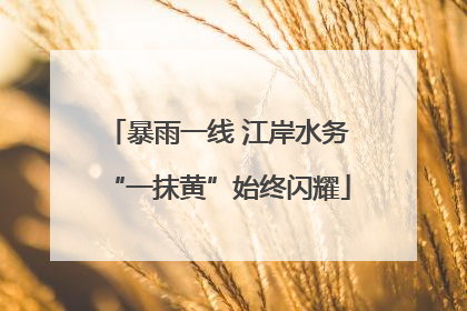 暴雨一线 江岸水务“一抹黄”始终闪耀