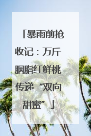 暴雨前抢收记：万斤胭脂红鲜桃传递“双向甜蜜”