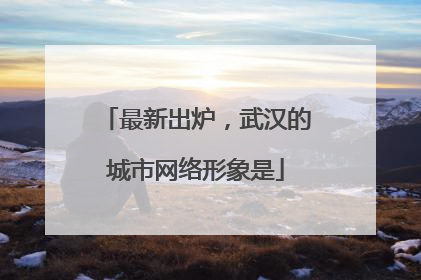 最新出炉，武汉的城市网络形象是