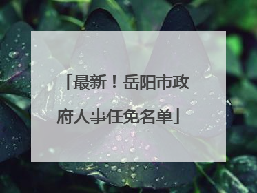 最新！岳阳市政府人事任免名单