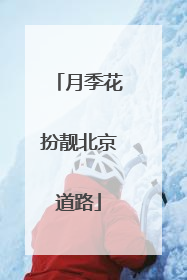 月季花扮靓北京道路