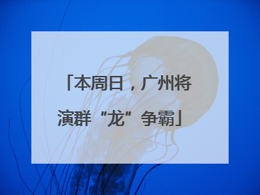 本周日，广州将演群“龙”争霸