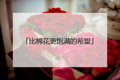 比棉花更饱满的希望