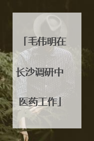 毛伟明在长沙调研中医药工作