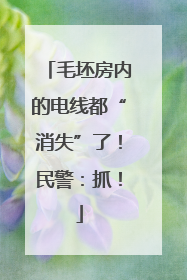 毛坯房内的电线都“消失”了！民警：抓！